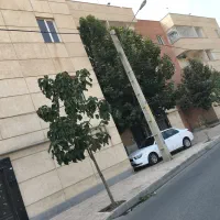 اپارتمان-گلدشت-هشتم-غربی-طبقه-اول-باپارکینگ