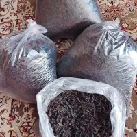 چای شمال|خوردنی و آشامیدنی|کرج, ملک‌آباد|دیوار