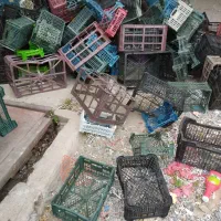 دونفر کارگر مرد اسیاب سبد تفکیک بارگیری حقوق ۶۰۰