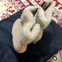 نیم بوت زنانه|کیف، کفش، کمربند|تهران, بروجردی|دیوار