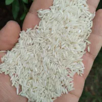 برنج هاشمی دودی