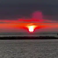 اجاره کافه در پارک افتاب