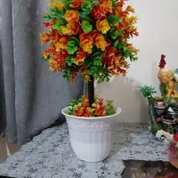 گلوگلدون|حراج|مسجد سلیمان, |دیوار