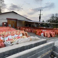 تولید کننده انواع برنج های دم سیاه هاشمی|خوردنی و آشامیدنی|سنگر, |دیوار
