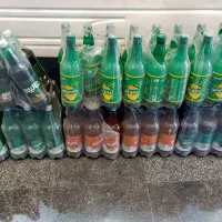 دلستر عالیس