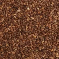 دنبال کنجد هستم