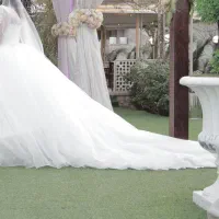 لباس عروس سایز ۴۰ تا ۵۰ تهران فقط ۱۰ میلیون|لباس|تهران, شمشیری|دیوار