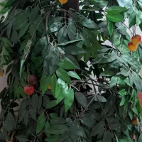گل مصنوعی|گل مصنوعی|شیراز, حافظیه|دیوار