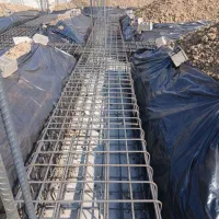 زمین  گلنگی