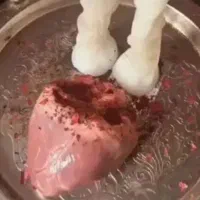 سرکتاب  و دعوا نویسی مشاوره رایگان