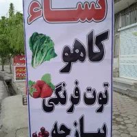 نهال کاهو و توت فرنگی|خدمات باغبانی و درختکاری|نوکنده, |دیوار