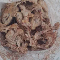 غذای سگ پخته