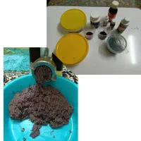 میکس دل تخصصی ماهیان زینتی و ماهی دیسکس