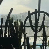 گروه آگهی استخدام ادمین