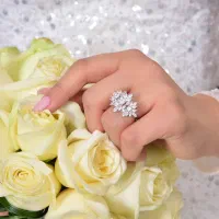 فیلمبرداری و عکاسی مجالس