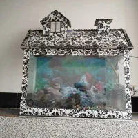 آکواریوم سالم