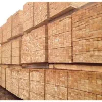 چوب نراد .وصنوبر روسی .جنگلی ارزان تر از همه جا