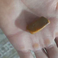 مهره سنگ قدیمی و قوی