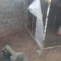 فروش قفس|لوازم جانبی حیوانات|صوفیان, |دیوار