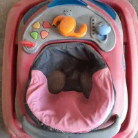 چرخ رورویک کودک