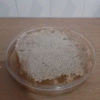 عسل طبیعی و اعلاء آذربایجان|خوردنی و آشامیدنی|کرج, شهرک اوج|دیوار