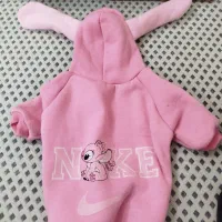 لباس زمستونی وتشک|لوازم جانبی حیوانات|مشهد, نوید|دیوار