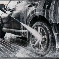 نیروی کار کارواش