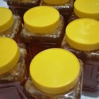 عسل ۱۰۰ درصد طبیعی بدون شکر|خوردنی و آشامیدنی|شیراز, گلشن|دیوار