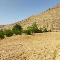 فروش خانه نو ساز با باغ|فروش خانه و ویلا|دهدشت, |دیوار