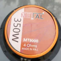 میدرنج هشت|صوتی و تصویری|صومعه‌سرا, |دیوار