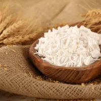 استخدام نیروی فنی