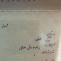 شناسنامه پیداشده