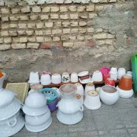 گلدان و قفس پرنده|گل و گیاه طبیعی|شیراز, کوشک میدان|دیوار