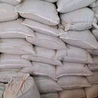 جو دیم بذری