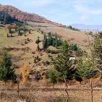 فروش-زمین-کشاورزی-4500متر
