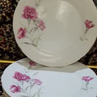 پیش دستی گلسرخی یاماتسو ژاپن(۱۸تا)|ظروف سرو و پذیرایی|ری, شهید غیوری (ابن باویه)|دیوار
