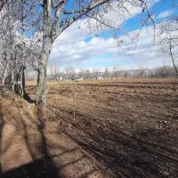 زمین کشاورزی ، ویلایی در عجب شیر