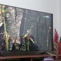 تلویزیون هوشمند55سامسونگ bu8000در حد نو نو