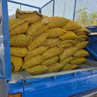 زردچوبه اصل چارمنار