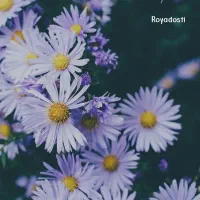 علوم غریبه و دعا و سرکتاب