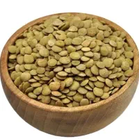 عدس میانه تازه