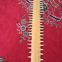 فک اره ماهی|کلکسیون اشیاء عتیقه|تهران, خاک سفید|دیوار