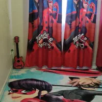 پرده عروسکی پانچ