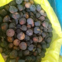 انجیر خشک تازه و تمیز  کاملا ارگانیک|خوردنی و آشامیدنی|شیراز, ارم|دیوار