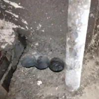 سوراخکاری ،گردبر،کورگیری