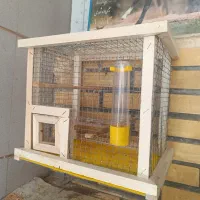 قفس پرنده|لوازم جانبی حیوانات|سمیرم, |دیوار