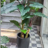 مرکز پخش گل و گیاه مصنوعی ابریشم قم