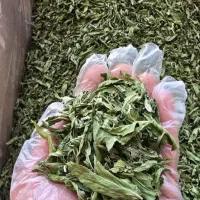 سبزی خشک رامهرمز