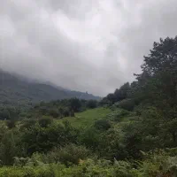 تور گردشگری