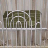 قفس پرنده|لوازم جانبی حیوانات|اسلام‌شهر, شهرک واوان|دیوار